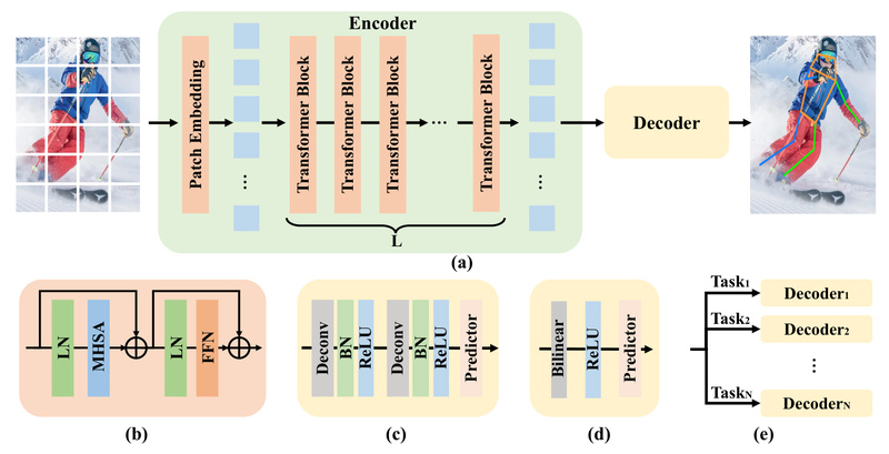 ViTPose: High-Accuracy, Scalable Pose Estimation Without Complex Custom Designs